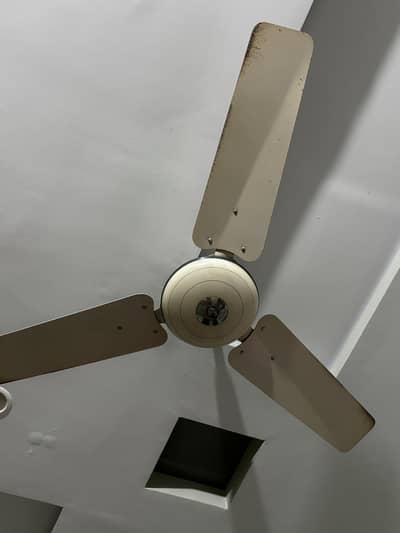 Ceiling Fan