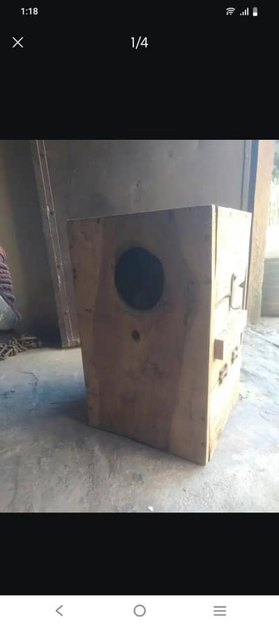 Raw parrot or budgues parrot house