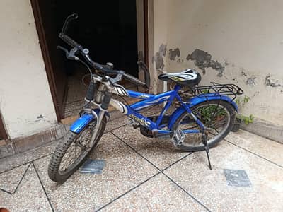 Safari 20 inch bicycle -excelent condition | strong frame