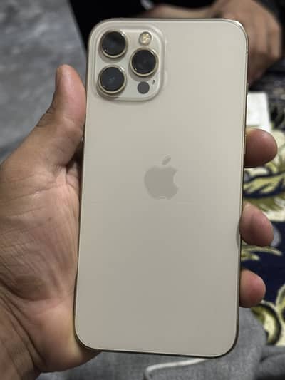 Apple iPhone 12 Pro Max in 256 GB