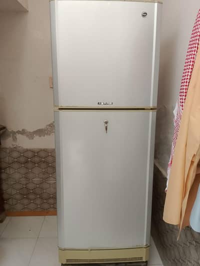 fridge for sales company PEL