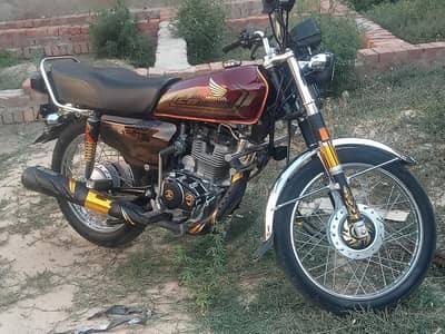 gold edition 125 2025 model