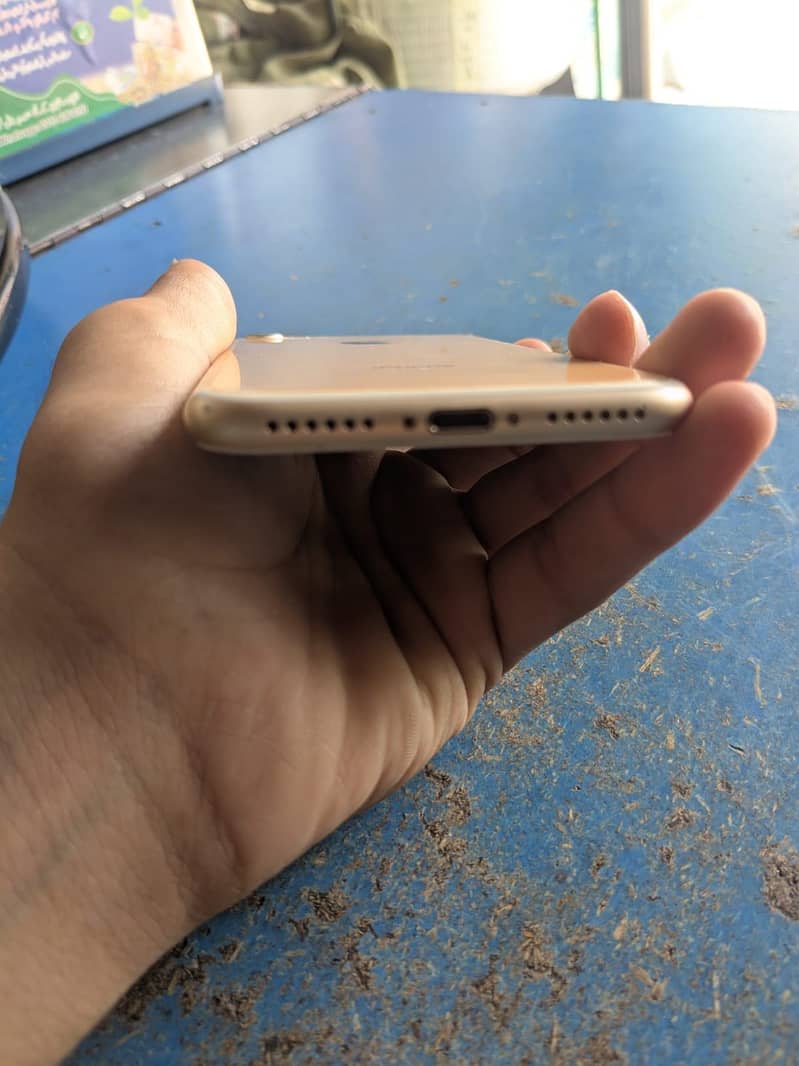 Apple iPhone 7 1