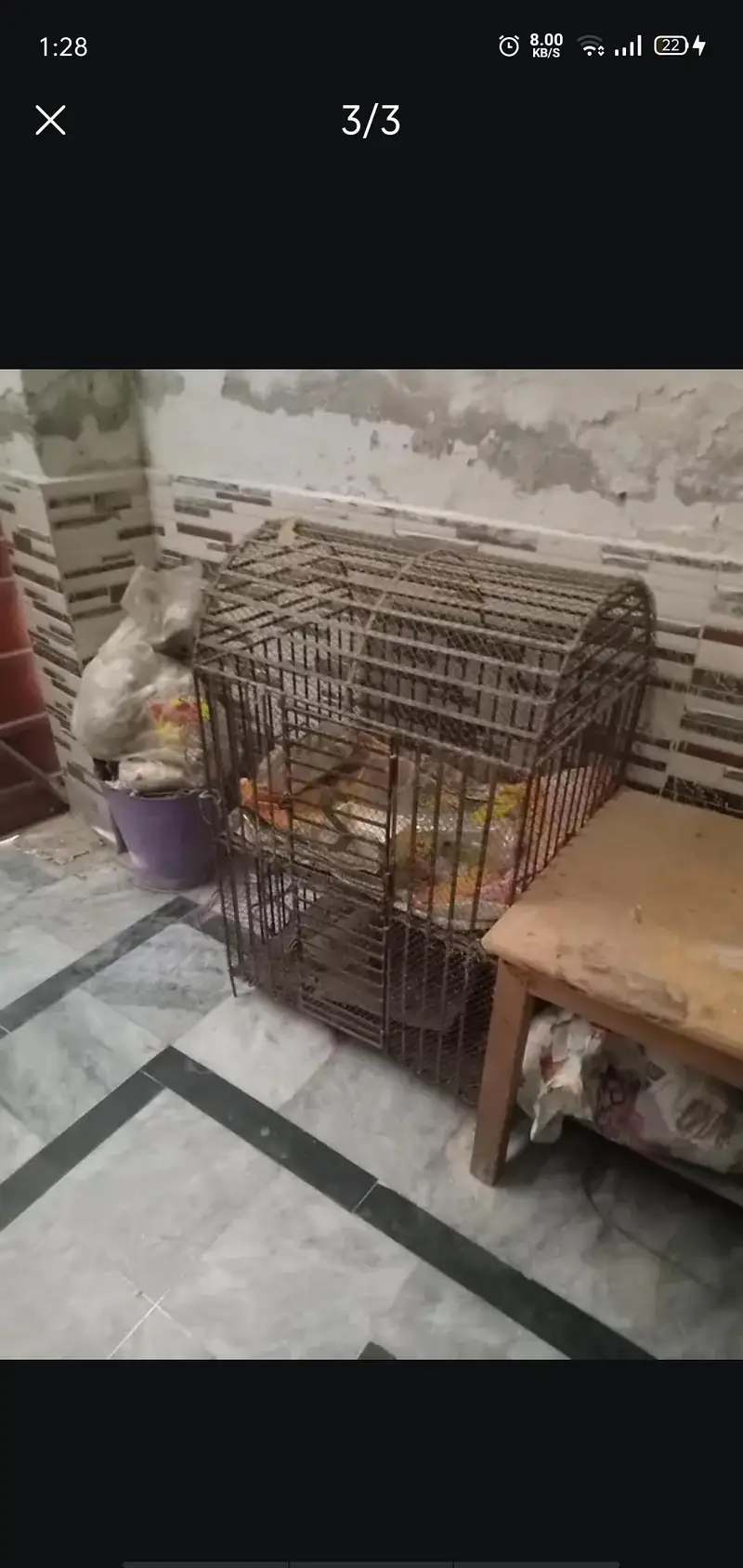 heavy cage for sale — photo 4