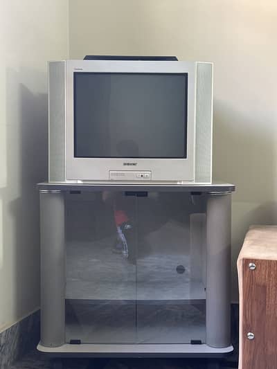 Sony 21 inch TV