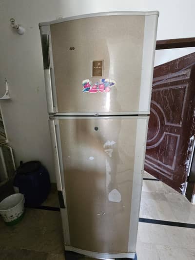 Dawlance Double Door Refrigerator | Excellent Cooling | Rs. 56,000