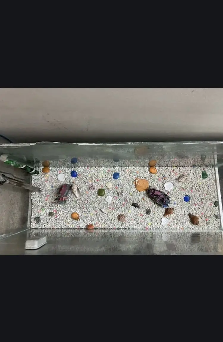 Fish Aquarium — photo 2