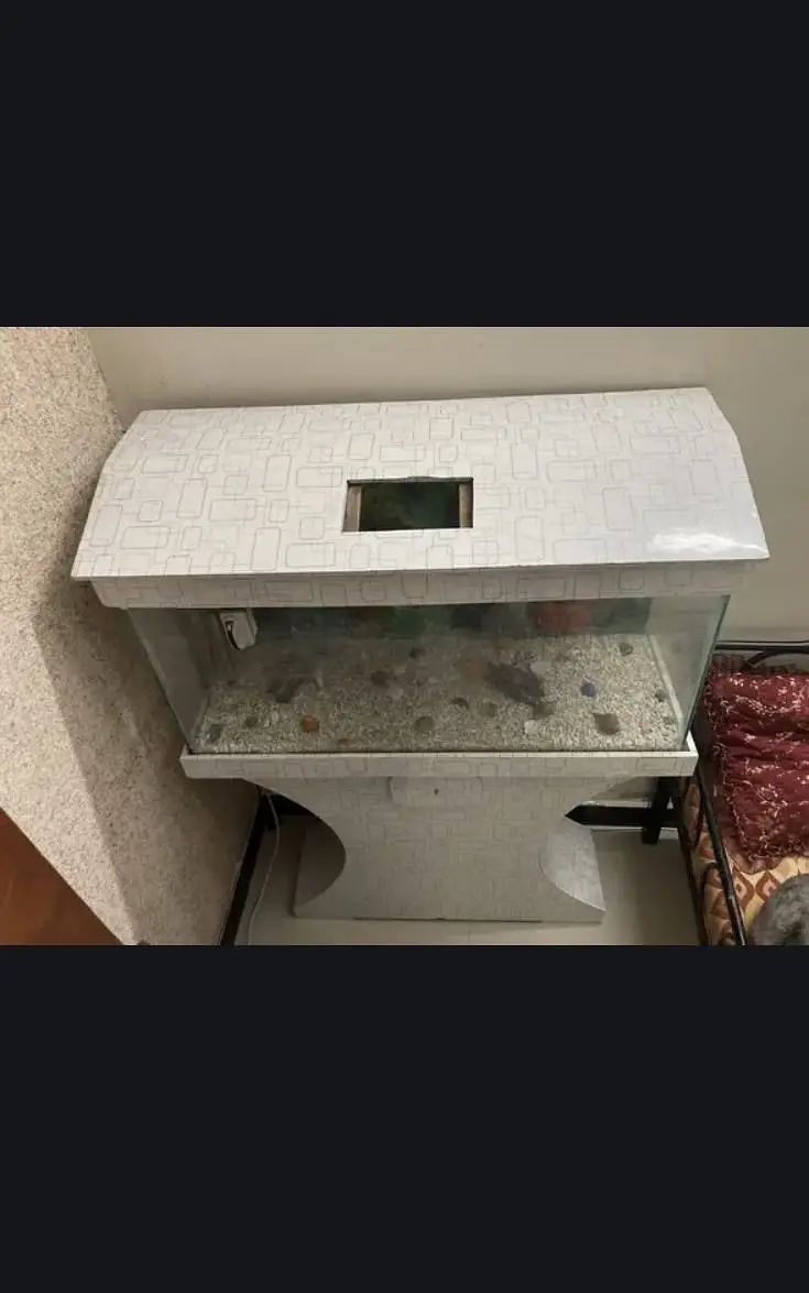 Fish Aquarium — photo 3