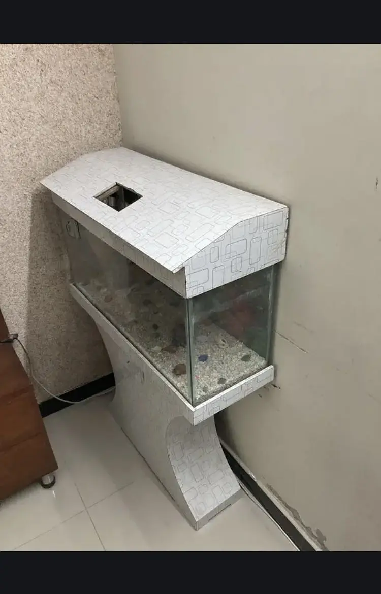 Fish Aquarium — photo 4