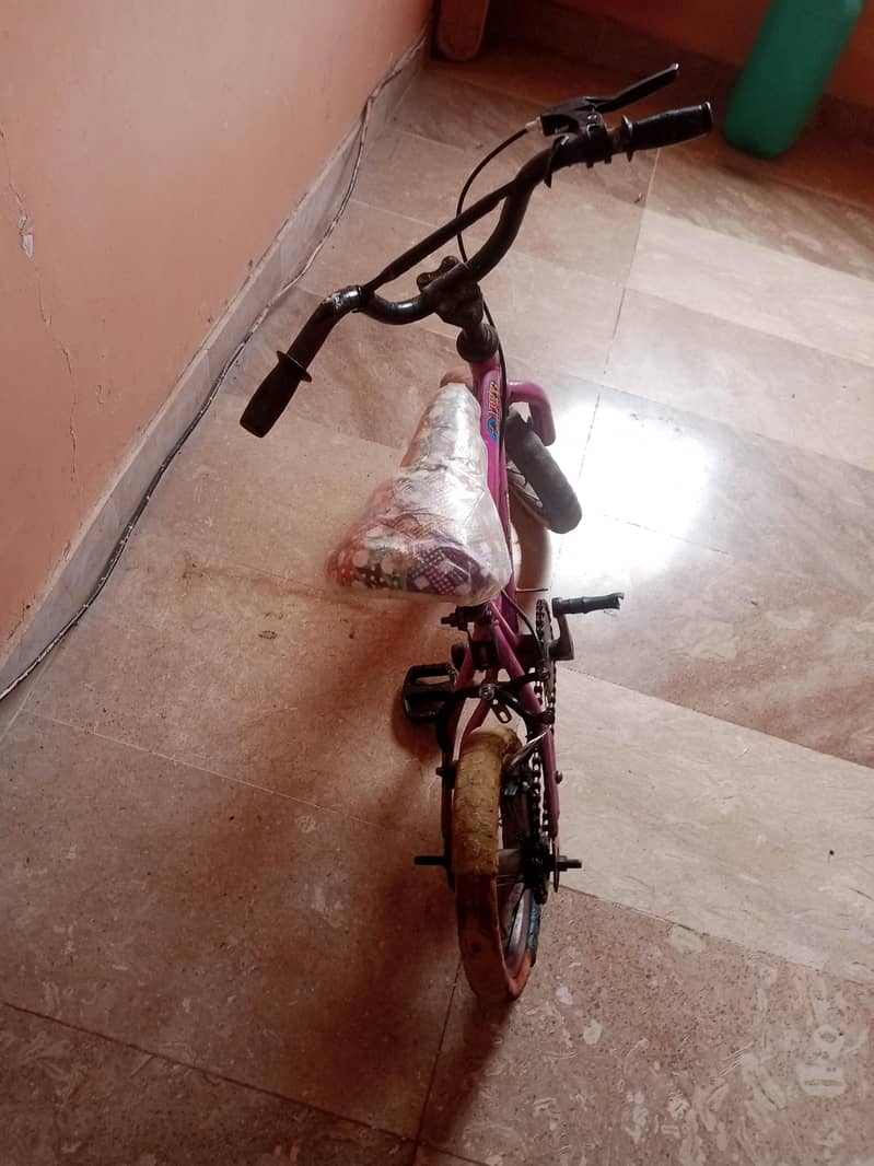 Kids cycle 2