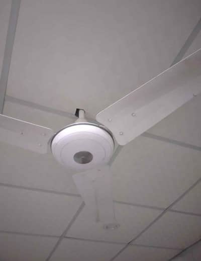Sufi fan