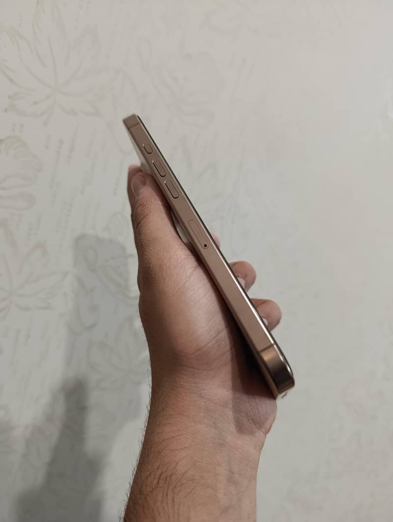 iPhone 16 pro max 4