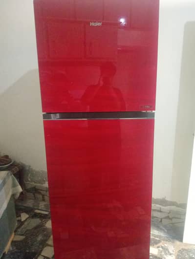 haier refrigerator 2021 model