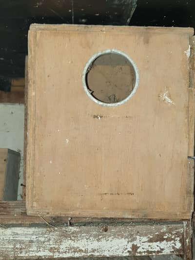 cages, boxes ,  matkies and trays