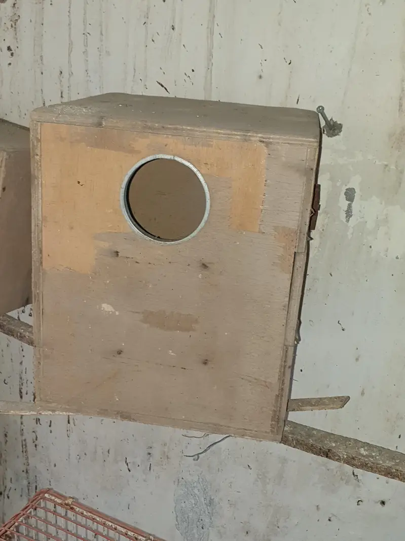 cages, boxes ,  matkies and trays — photo 4