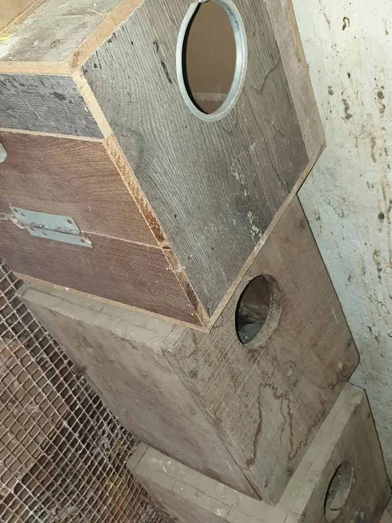 cages, boxes ,  matkies and trays — photo 5