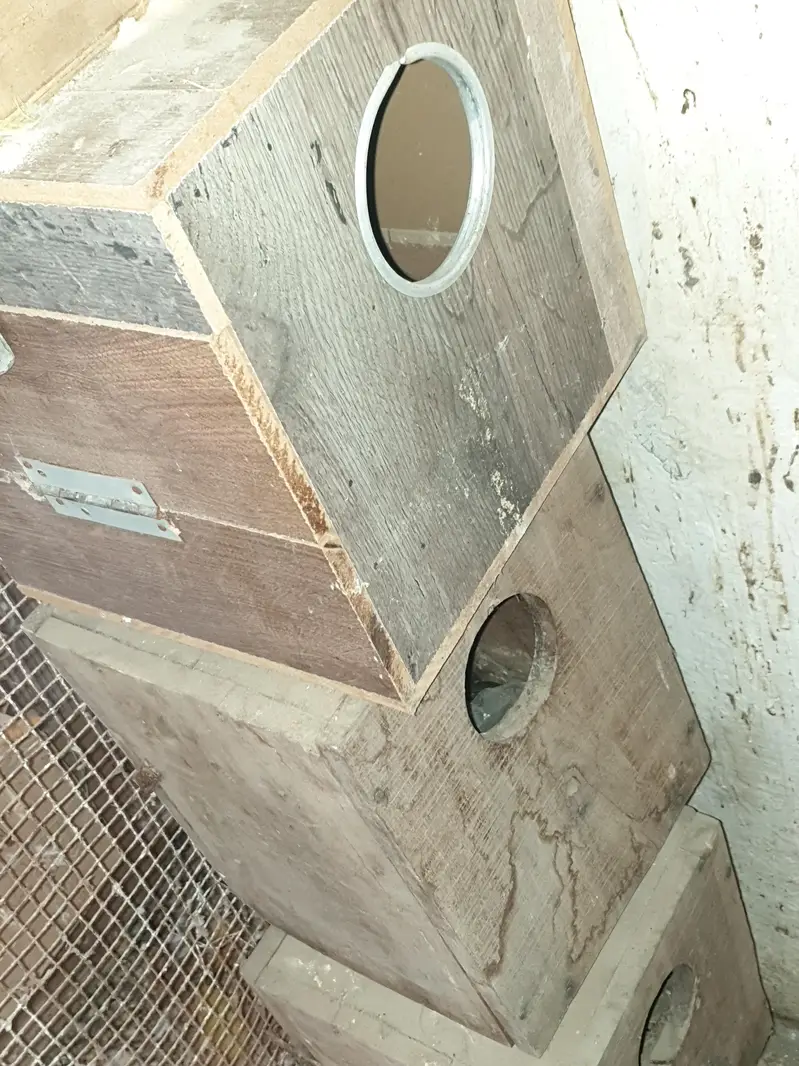 cages, boxes ,  matkies and trays — photo 6