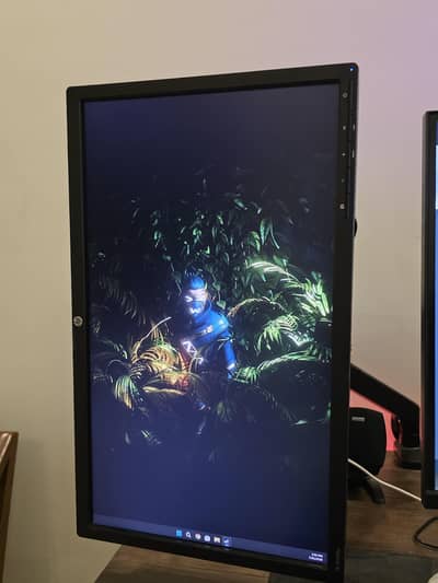 HP ZR2240w monitor