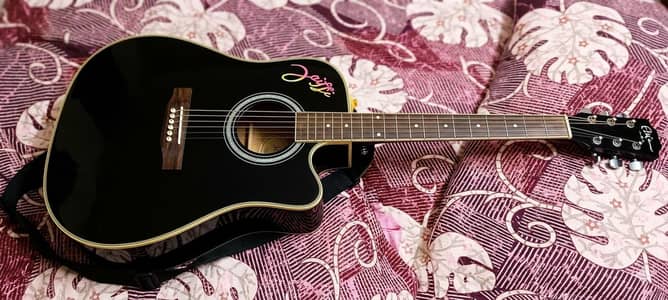 professional guitar