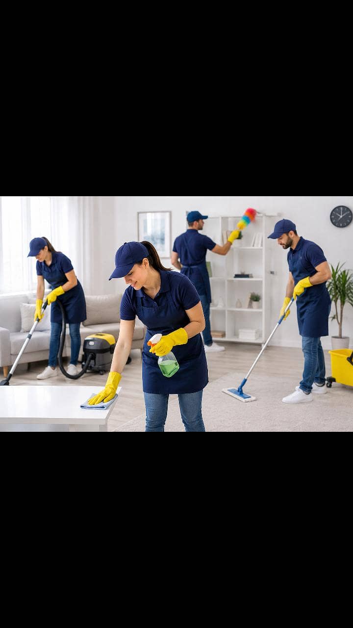 cleaning services 0