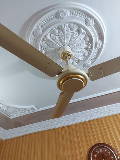 Royal Fan 56 inches each Rs. 5300