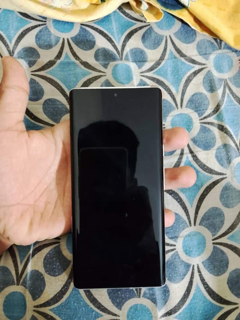 Google Pixel 6 Pro 1