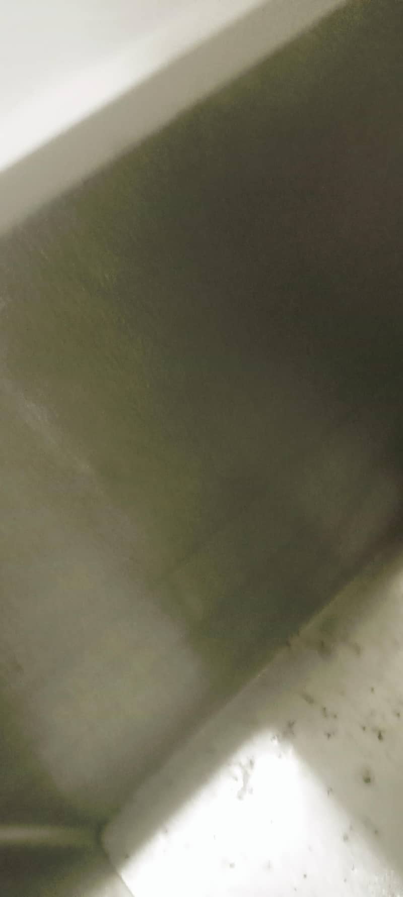 brand 4