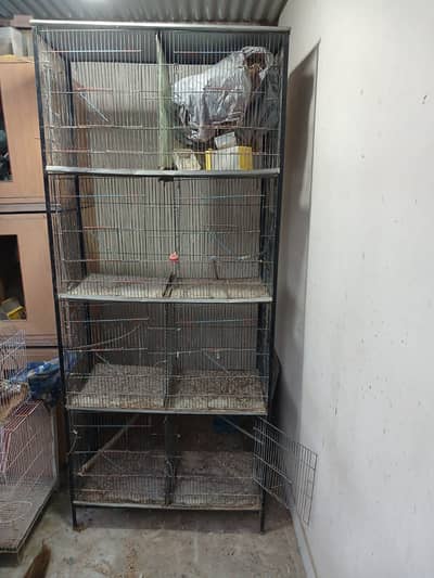 BIrds Cage