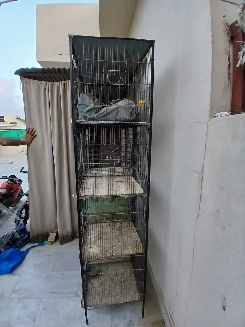 BIrds Cage — photo 3