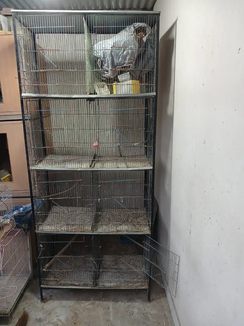 BIrds Cage — photo 4