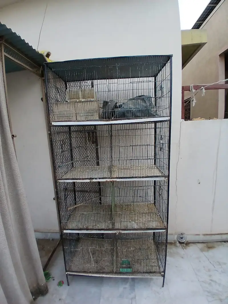 BIrds Cage — photo 5