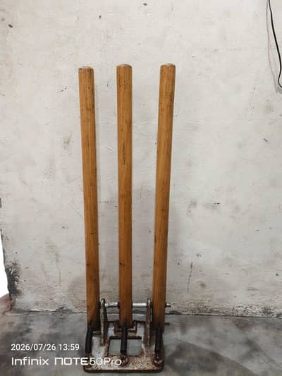 Cricket wicket