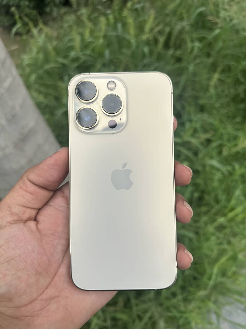 Apple iPhone 13 Pro 0