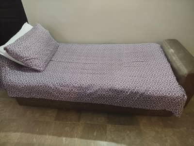 Sofa Cum Bed with Two Cushions