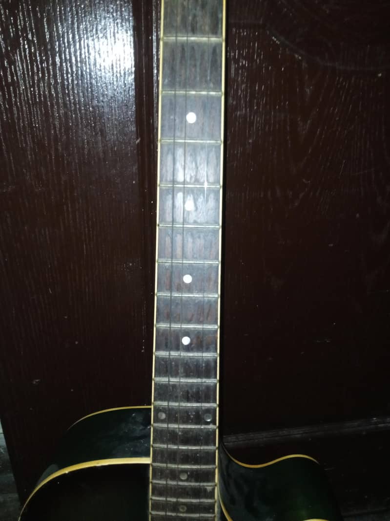 Guitar 5