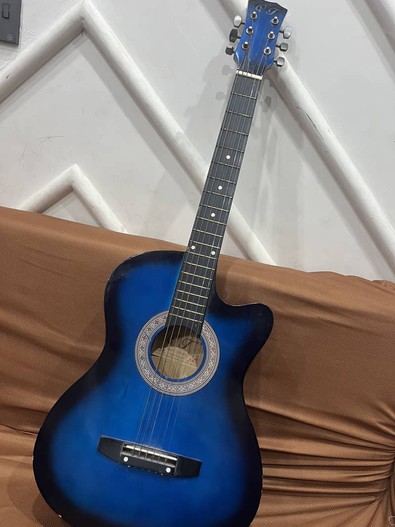 Guitar 5