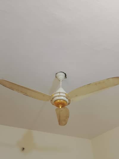 Sufi Fan Available for sale