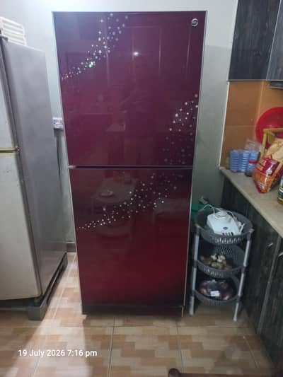 PEL 6 Feet Size Refrigerator – Excellent Working Condition