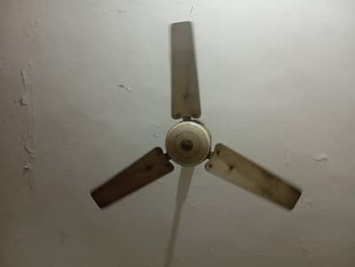 3 fan hai or 1 fan 12 walt Ka or 2 ups hai difrent price