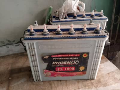 TX 1800 Phoniex battery
