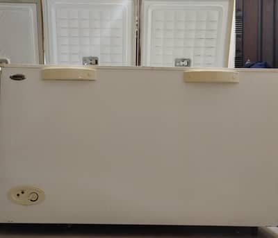 Waves Double Door Deep Freezer – Excellent Working Condition