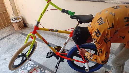 phoenix frame cycle for sale