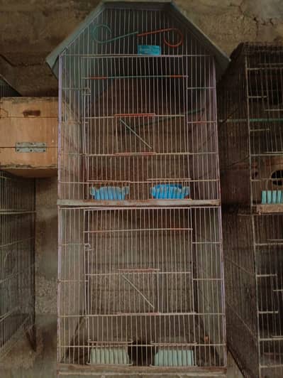 Cage | Cages | Birds cage