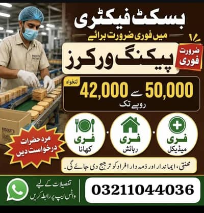 need urgent staff biscuits packing factory jobs male and female jobs