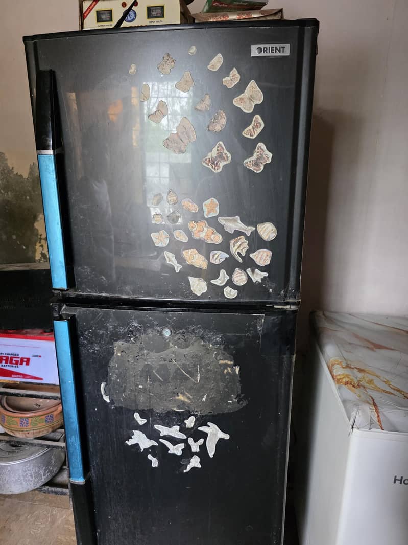 fridge 2