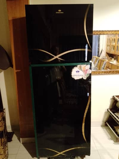 20 cubic feet ,  Jumbo size fridge