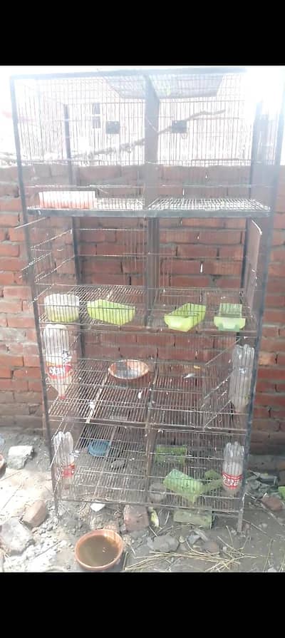 cage for sale