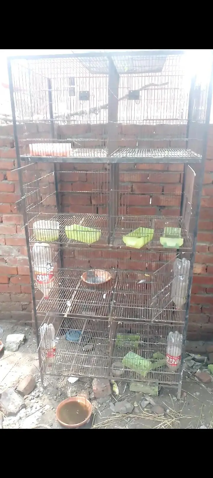 cage for sale