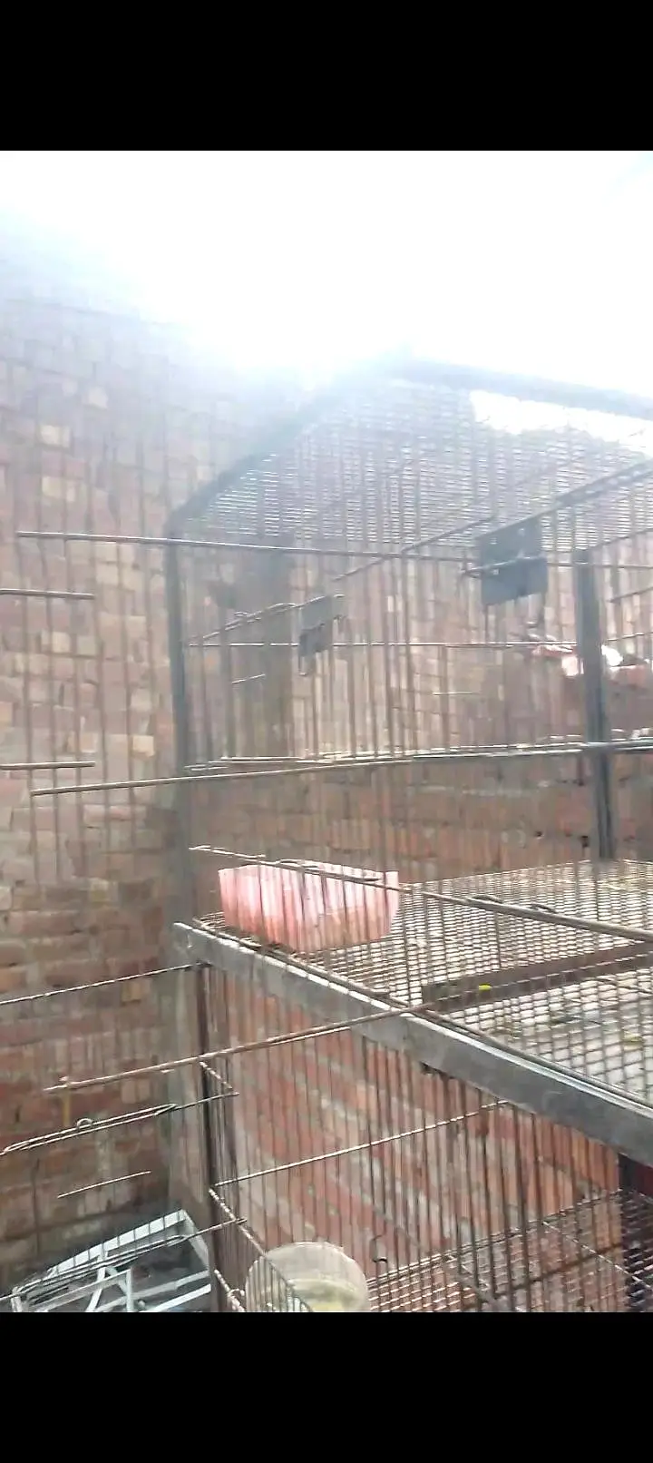 cage for sale — photo 2