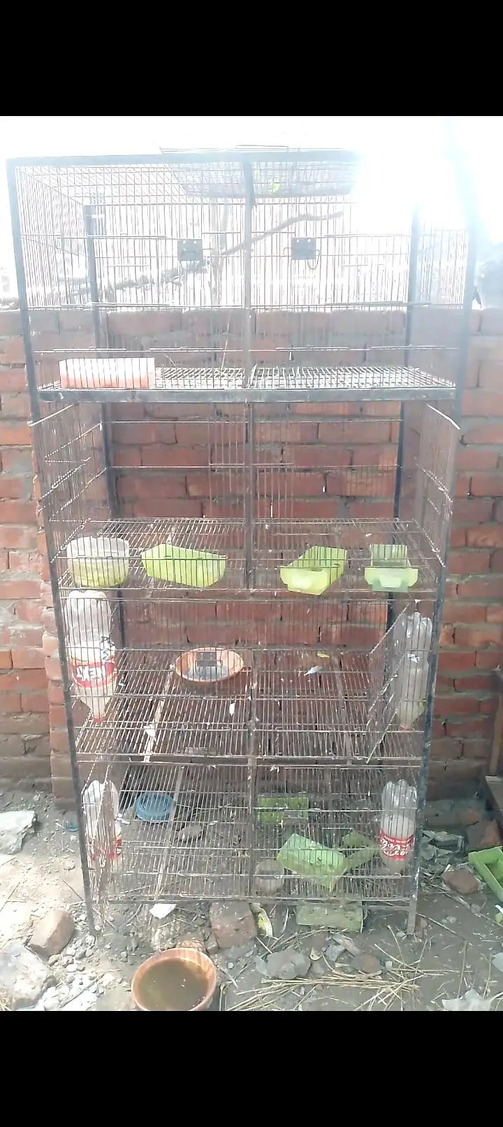 cage for sale — photo 3
